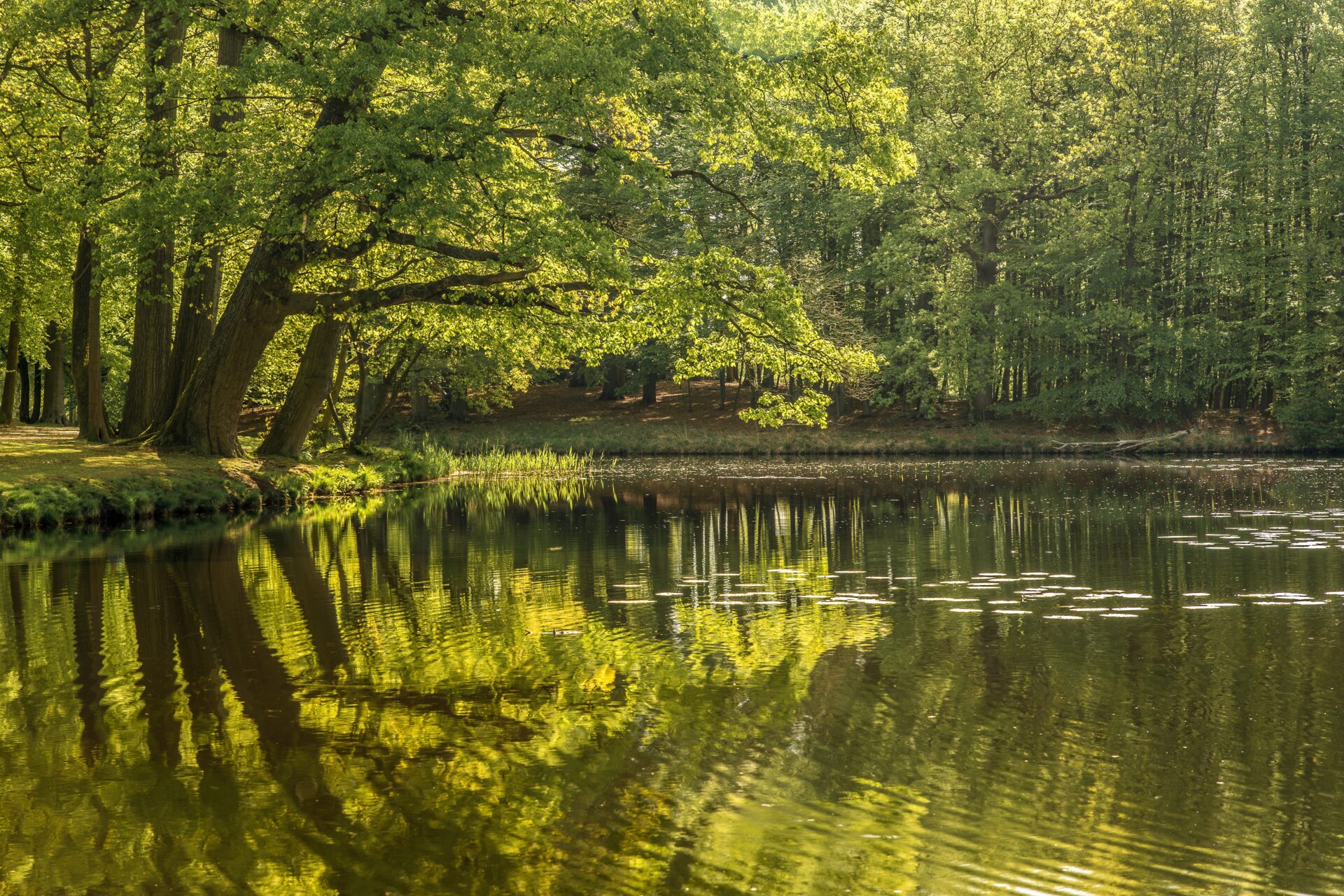JOURNEE CONVIVIALE AU BORD DE L’EAU