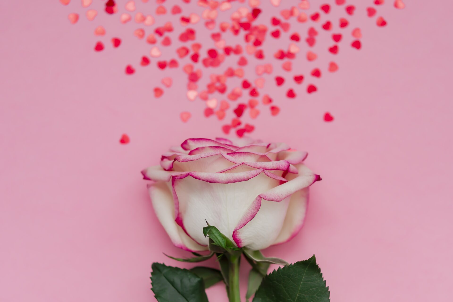 COUP D’ CHOEUR “La vie en rose”